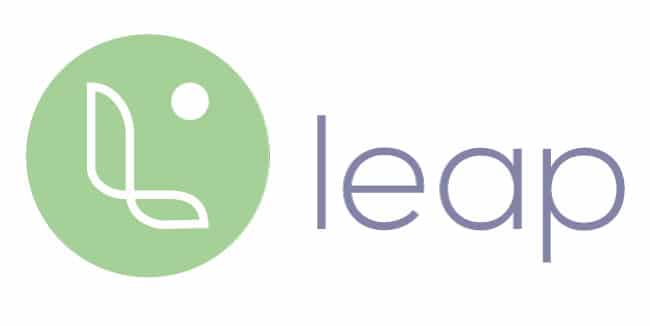 Leap Project Management